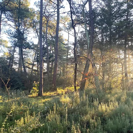 La Cachette D Oona, D Hôtes Au Calme