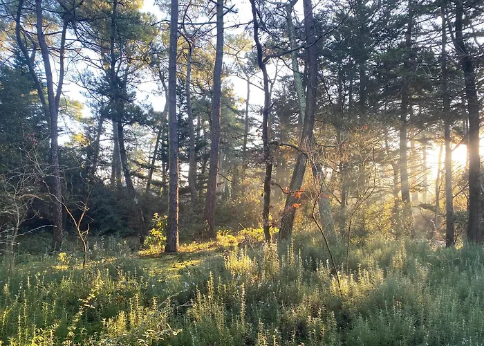 La Cachette D Oona, D Hotes Au Calme
