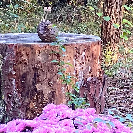 فندق مبيت وإفطار La Cachette D Oona, D Hotes Au Calme