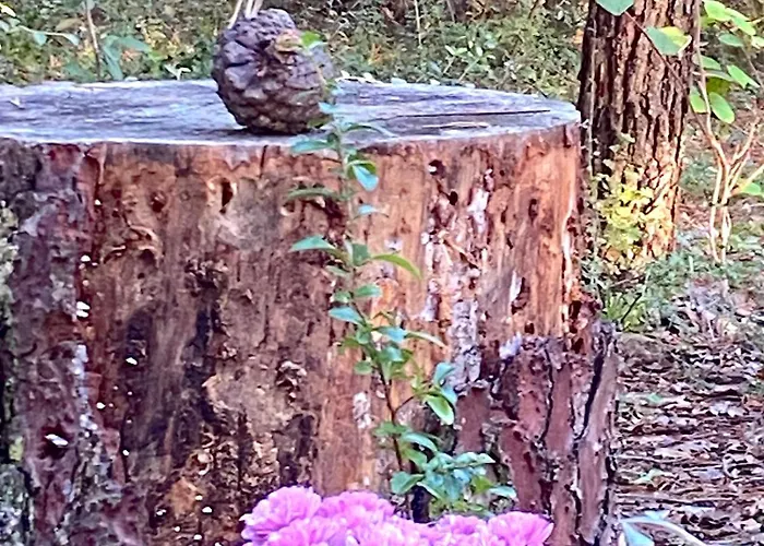 Bed & Breakfast La Cachette D Oona, D Hotes Au Calme